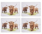HIGHLAND HERD 6PK COASTERS
